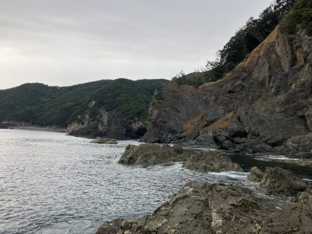 たかたかの釣り日記