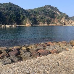 アジフライ不発