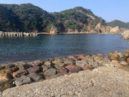 アジフライ不発