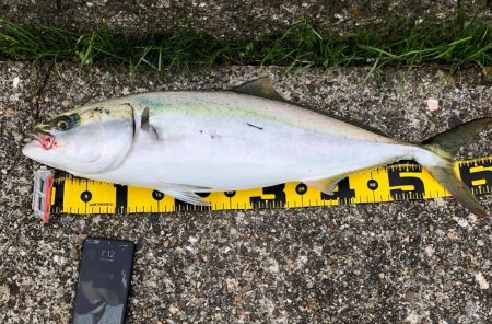東二見の飲ませ釣り