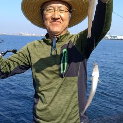 良型キスが揃いました