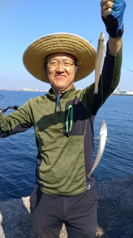 良型キスが揃いました