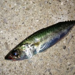 気分を変え場所を変え