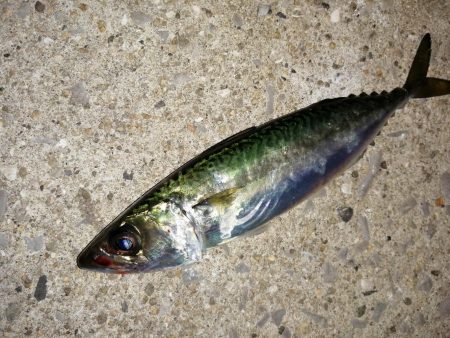 気分を変え場所を変え