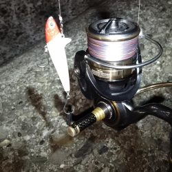 シングルフックはバレ易い？