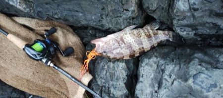 美味しい根魚アンド脳汁ドッバドバ。