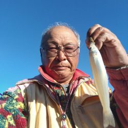 淡路都志港の落ちギス調査