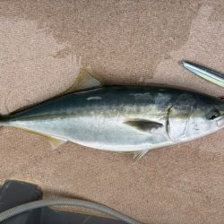 丹後半島沖ジギング船爆釣