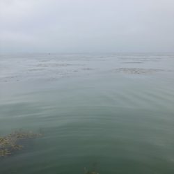 北山田連日の50オーバー