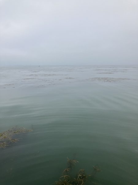 北山田連日の50オーバー