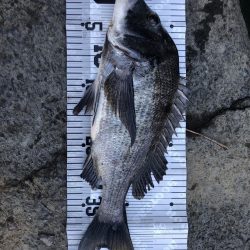 イチノ兄弟、釣果!