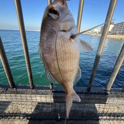 投げはじめました