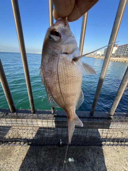 投げはじめました