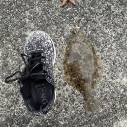 陸は紅葉海はカレイ