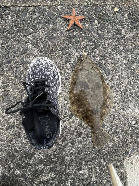 陸は紅葉海はカレイ