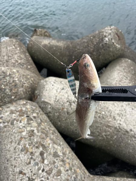 まだいました！