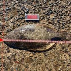 大満足^_^の釣行