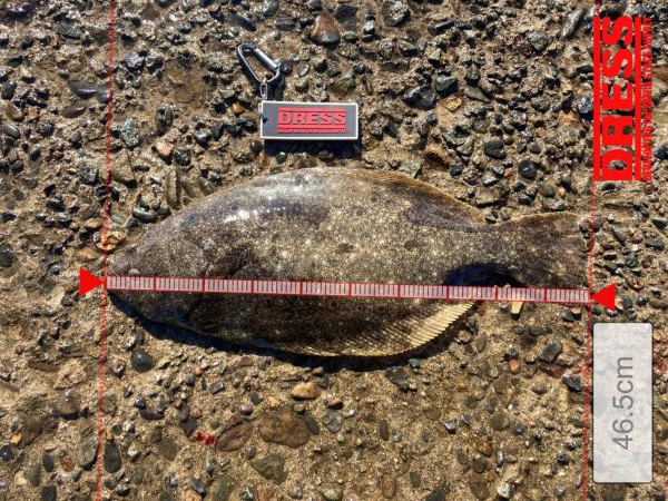 大満足^_^の釣行