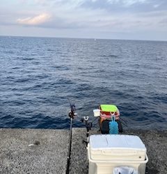 神谷荘さんでカゴ釣り