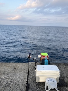 神谷荘さんでカゴ釣り