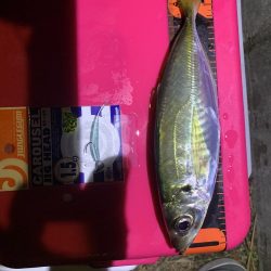 イベント釣行 3