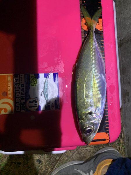 イベント釣行 3