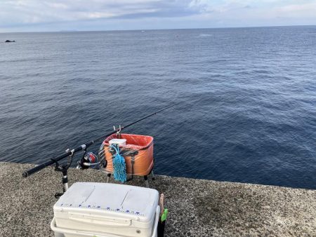 由良の大波止でカゴ釣り