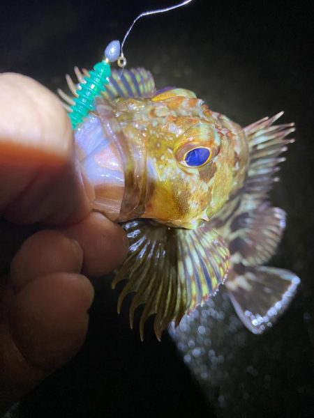 小一時間のメバリング