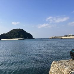 年々渋くなってきている