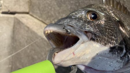 スリットから引きずり出す！