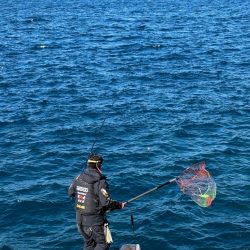 和歌山県釣連盟「連盟杯」決勝戦