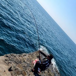 和歌山市江(吉丸渡船)で磯フカセ