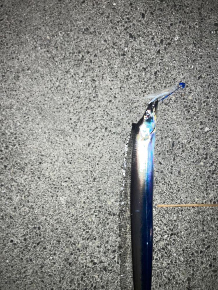 暖かく良い日でした