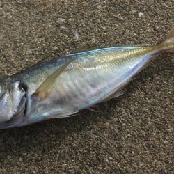 雰囲気だけはある