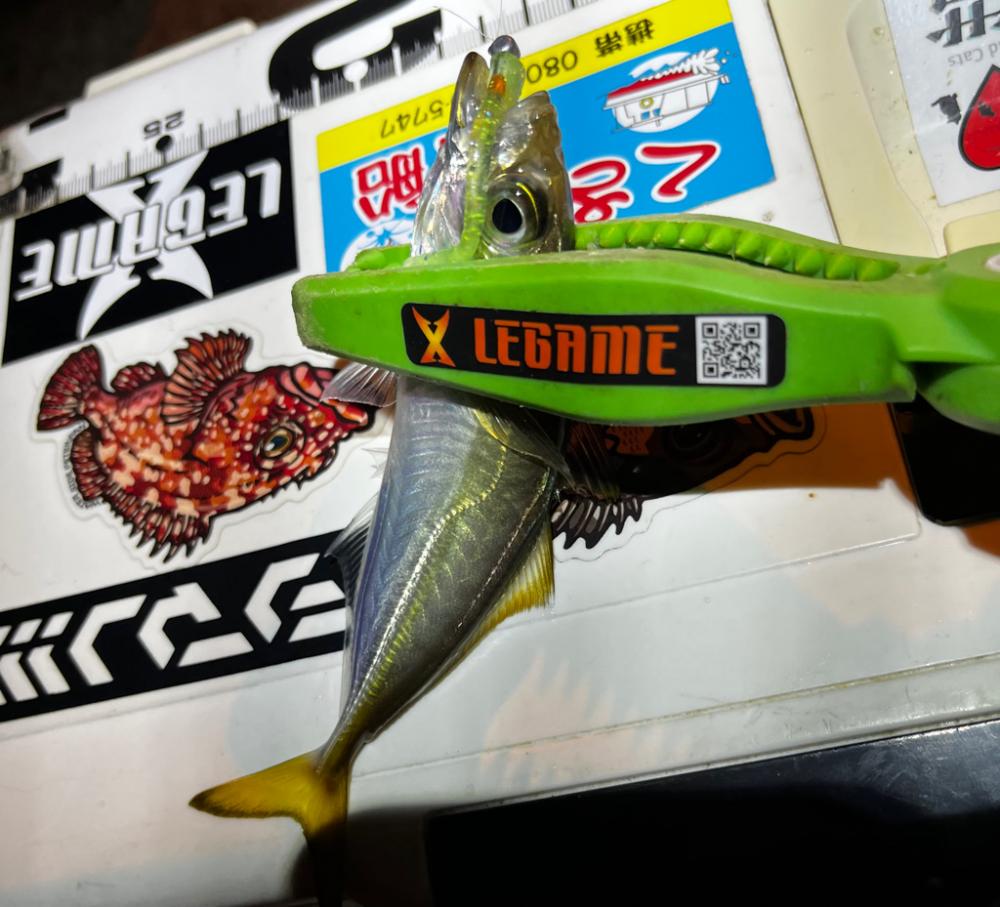 数釣りアジング>* ))))><