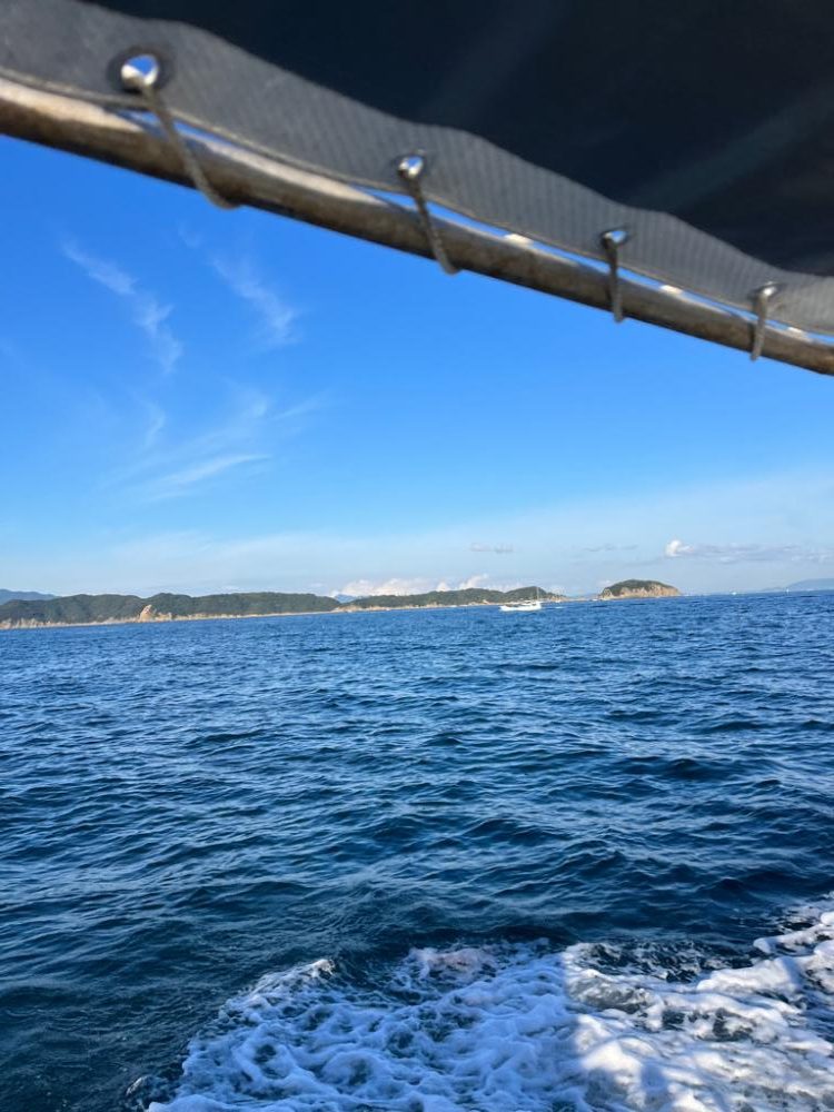 カワハギと真鯛