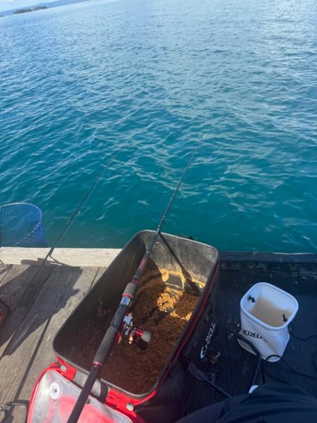 久々の筏釣りで爆釣！