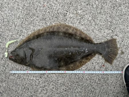 マゴチとヒラメ