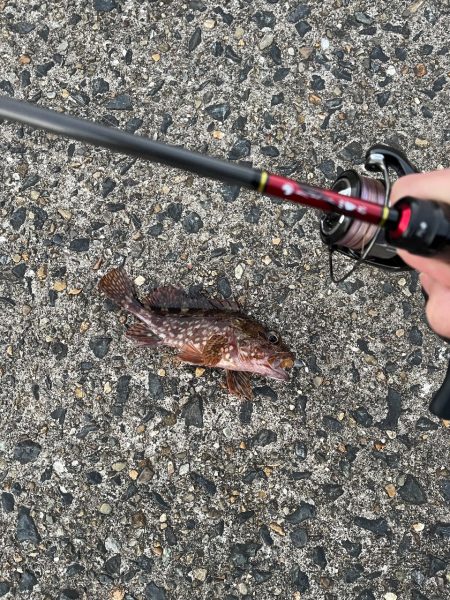 五目ライトゲーム