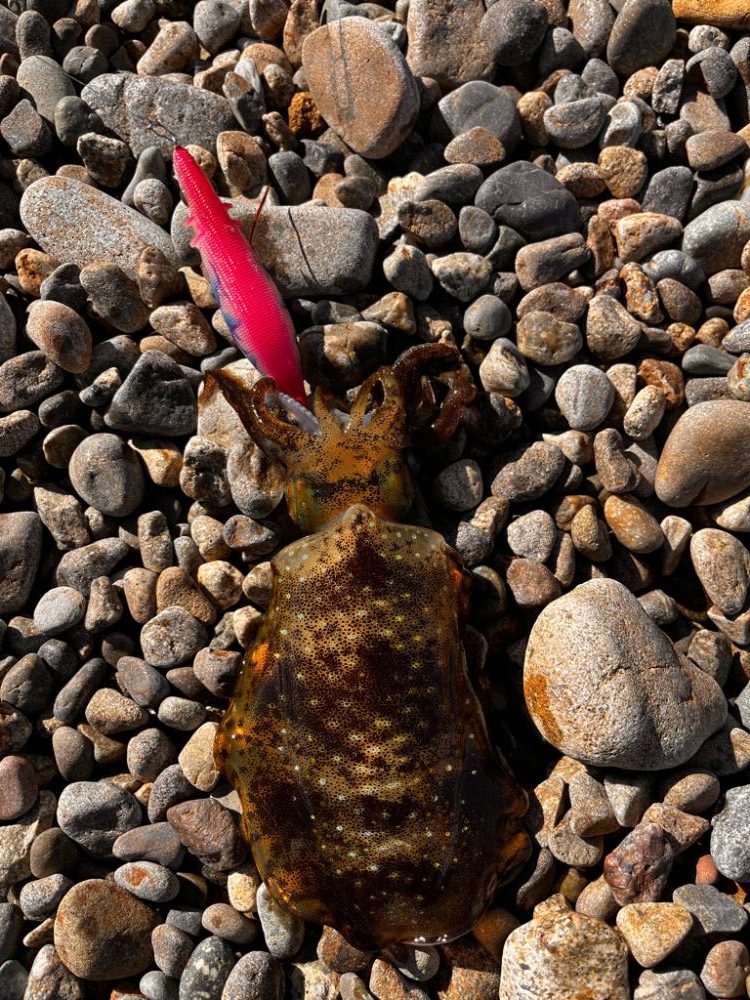 風があるので…