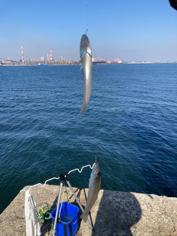 東二見〜赤灯台釣行!