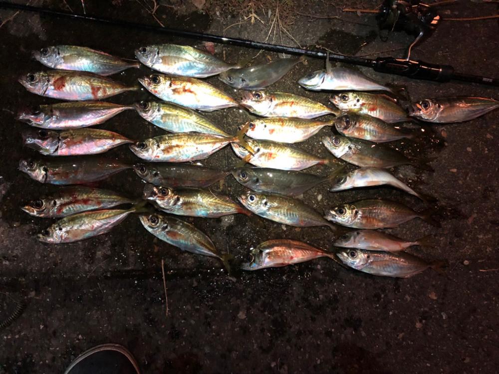 5時間耐久アジング