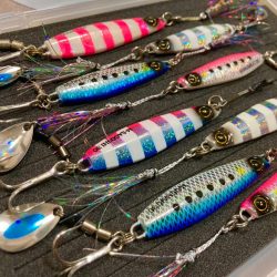 ジャックアイマキマキでサゴシ！