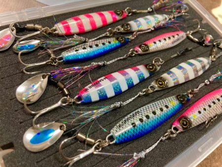 ジャックアイマキマキでサゴシ！