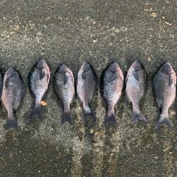 人生初の串本釣行