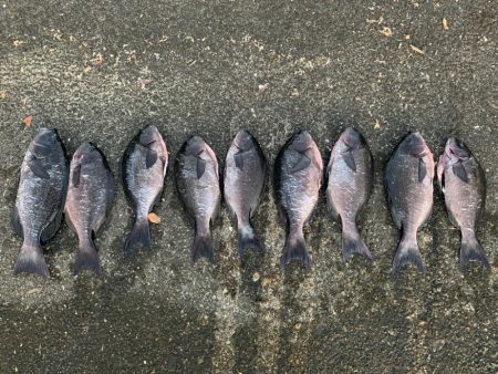 人生初の串本釣行