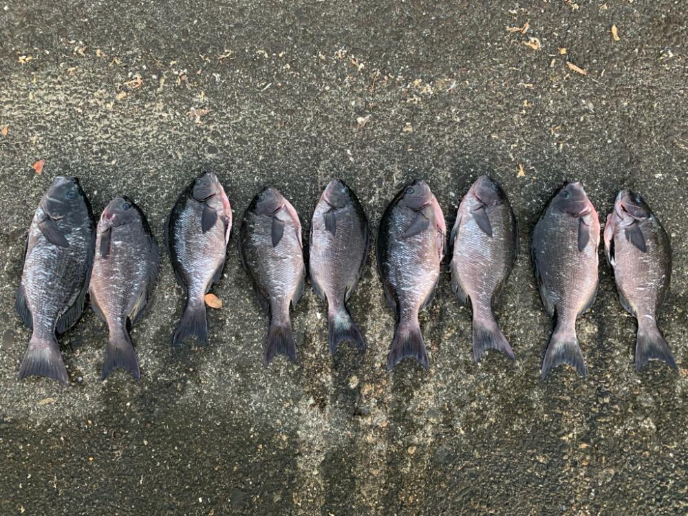 人生初の串本釣行