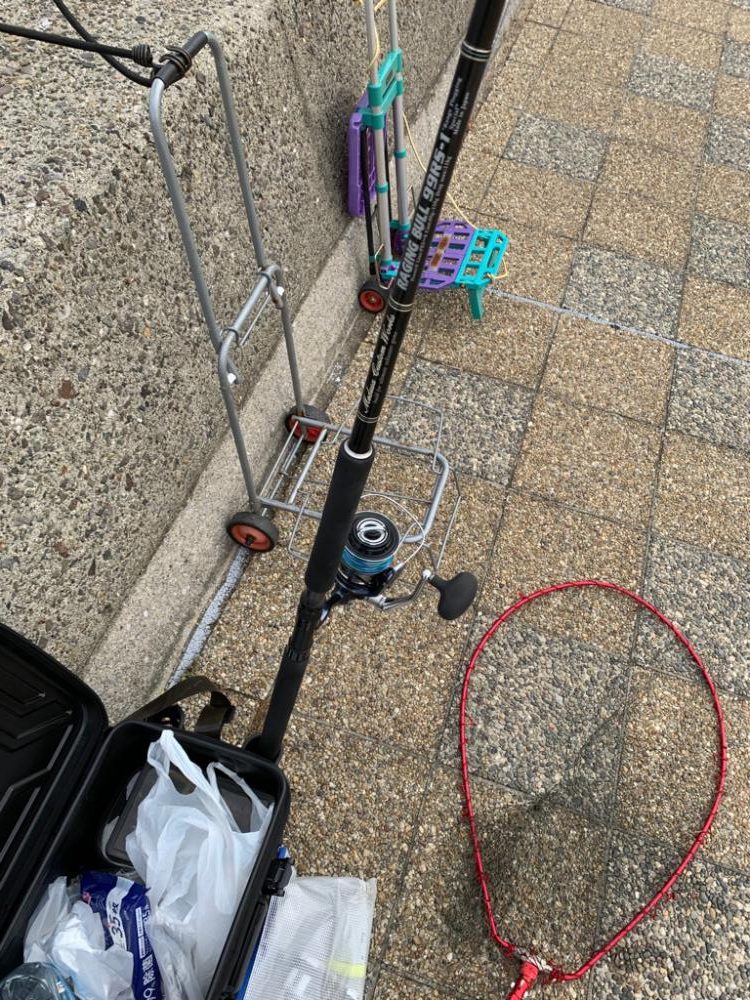 ニュータックル鱗付け