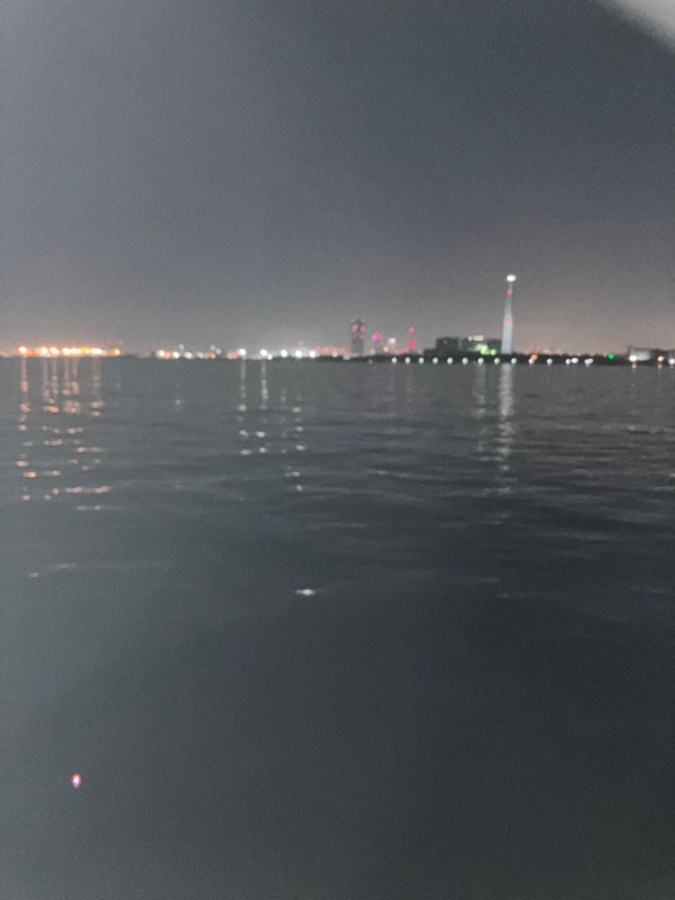 タチウオ少し、小アジたくさん