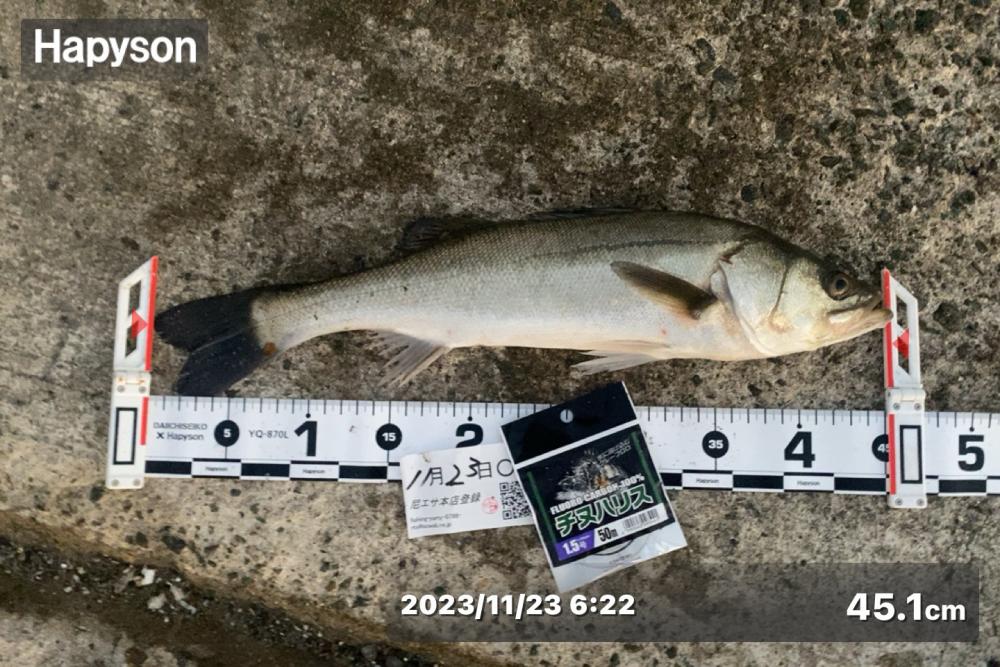 気温差が激しい日